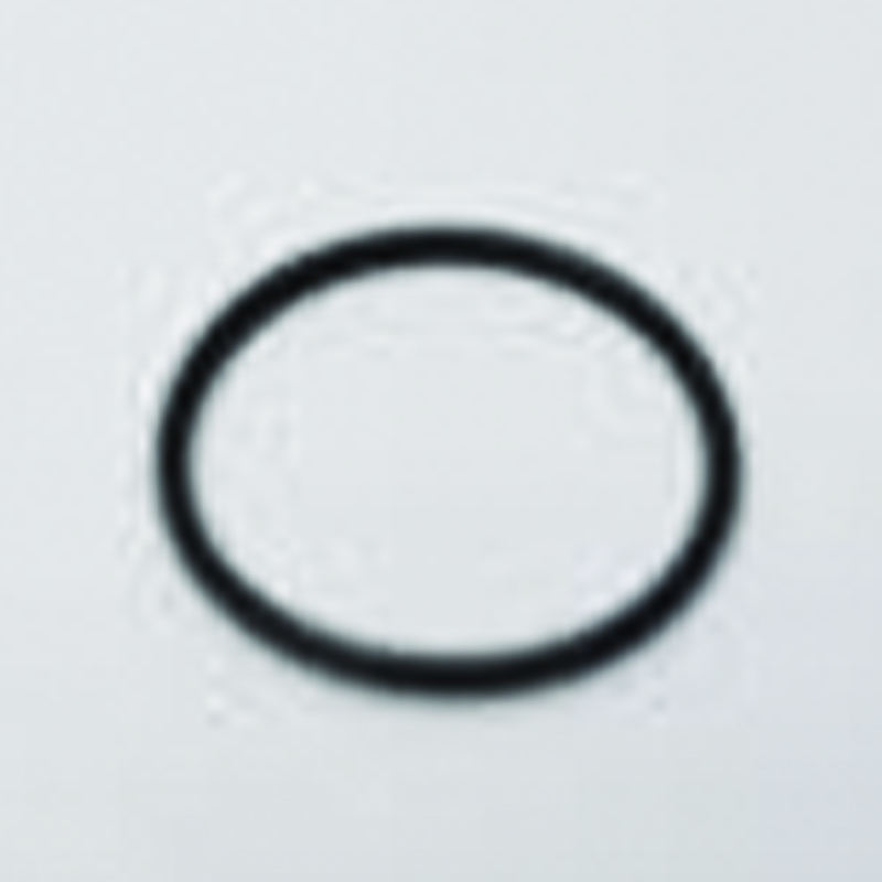 3/4" DURATEC ORING